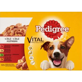 PEDIGREE Adult Mix 12x100 g kép
