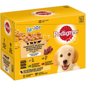 PEDIGREE Junior Selection Mix 12x100 g kép