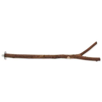 Perch Bird Jewel fa natúr 40cm kép