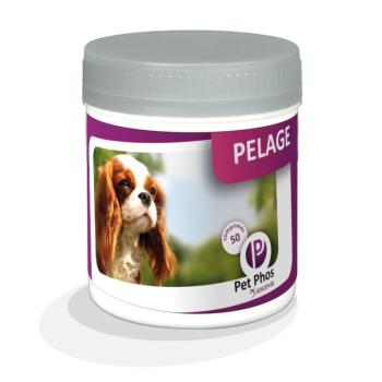 Pet Phos® Coat Dog ízesített tabletta 50 db kép