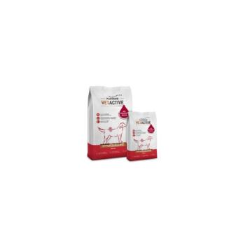 Platinum Vetactive Hypoallergenic 2x5kg kép