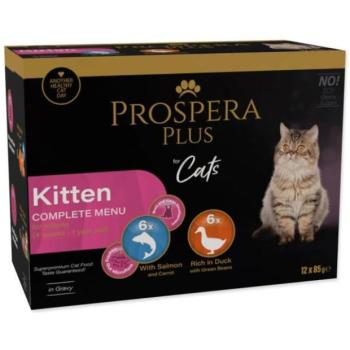 Prospera Plus Kiscica, 12x 85g kép