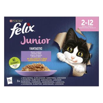 Felix Fantastic Junior vegyes válogatás aszpikban - nedves macskaeledel 12 x 85 g kép