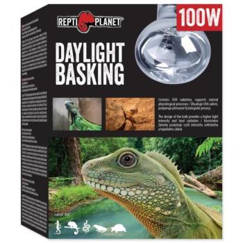 Repti Planet Daylight Basking Spot izzó 100 W kép