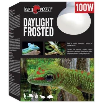 Repti Planet Daylight Frosted izzó 100W kép