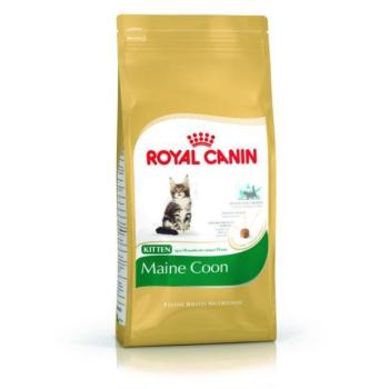 Royal Canin FBN Kitten Maine Coon 36 4 kg