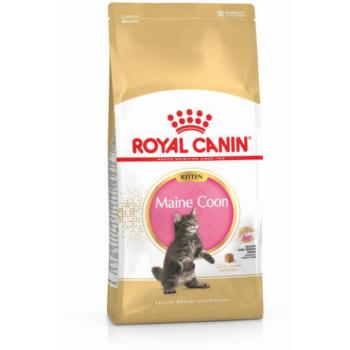 Royal Canin FBN Kitten Maine Coon 36 400 g kép