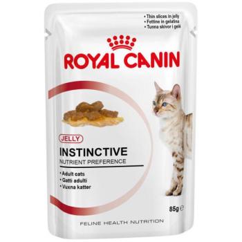 Royal Canin FHN Instinctive in jelly 85 g kép