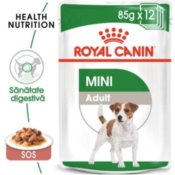 Royal Canin Mini Adult 12x85 g