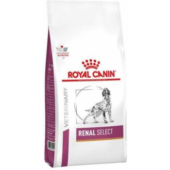 Royal Canin Renal Select Canine 10 kg kép