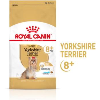 Royal Canin Yorkshire Adult 8 years+ 1,5 kg kép