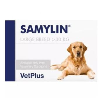 Samylin Large Breed Tabletta 30 x kép