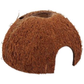 Shelter Repti Planet Coco Shell L kép