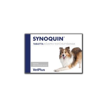 Synoquin Efa Medium Breed Tablets 30-db-os kép
