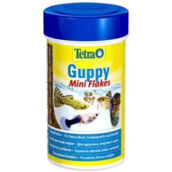 Takarmány Tetra Guppy Food 100ml kép