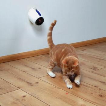 TRIXIE Laser 11 cm 41311