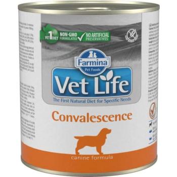Vet Life Convalescence 300 g kép