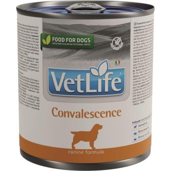 Vet Life Dog Convalescence konzerv 300 g kép