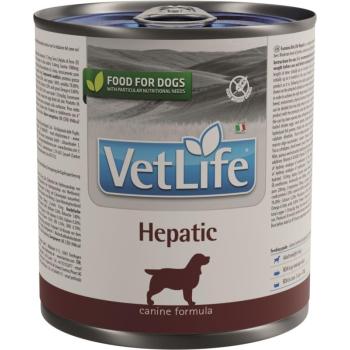 Vet Life Dog Hepatic konzerv 300 g kép
