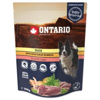Zseb ontariói kacsa zöldségekkel húslevesben 300g kép