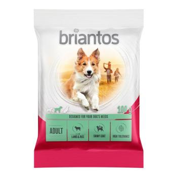 100g Briantos Adult bárány & rizs száraz kutyatáp kép