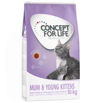 10kg Concept for Life Mum & Young Kittens száraztáp kiscicáknak javított receptúrával kép