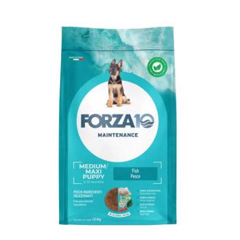 12kg Forza 10 Maintenance Junior hal száraz kutyatáp kép