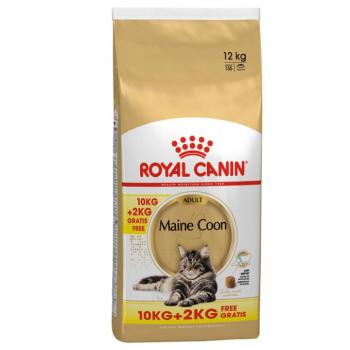 12kg Royal Canin Feline Maine Coon Adult száraz macskatáp 10+2kg ingyen kép