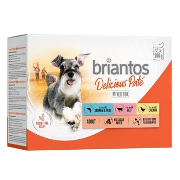 12x100g briantos Delicious Paté nedves kutyatáp Mix: csirke, marha & lazac kép