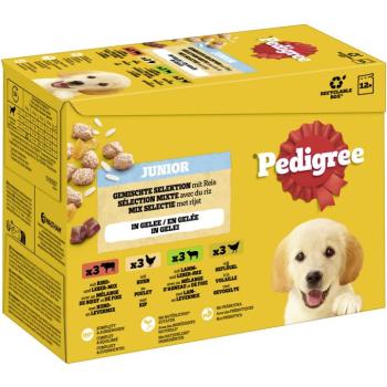12x100g Pedigree Junior nedves kutyatáp - Vegyes csomag aszpikban kép