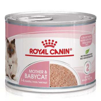 12x195g Royal Canin Mother & Babycat Ultra Soft Mousse nedves macskatáp kép