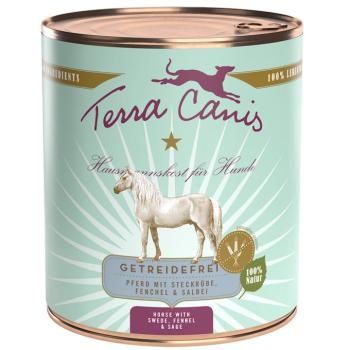 12x800g Terra Canis Gabonamentes Ló, fehér retek, édeskömény & zsálya nedves kutyatáp kép