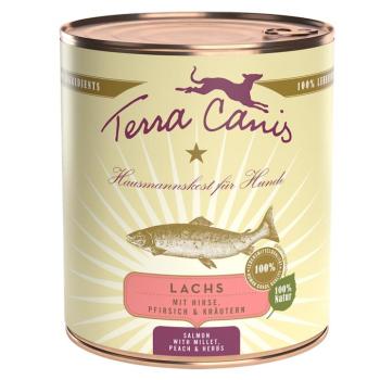12x800g Terra Canis Lazac, köles, őszibarack & fűszernövények nedves kutyatáp kép