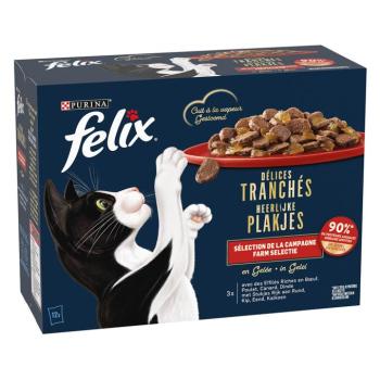 12x80g Felix Deliciously Sliced tanyasi válogatás aszpikban nedves macskatáp kép