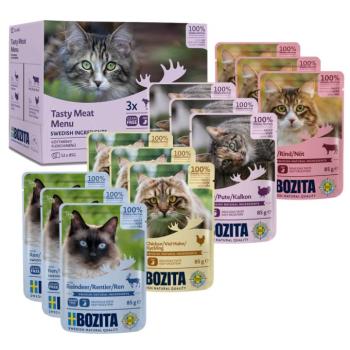 12x85g Bozita falatok szószban, tasakos nedves macskatáp- Vegyes csomag: húsmenü (4 változat) kép