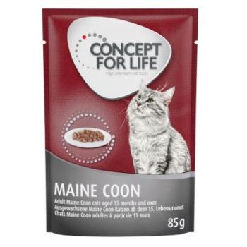 12x85g Concept for Life Maine Coon Adult nedvestáp- száraztáphoz kiegészítés kép
