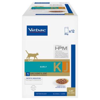 12x85g Virbac Veterinary Cat Early Kidney & Joint KJ1 nedves macskatáp kép