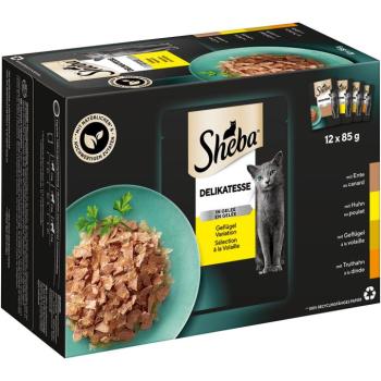 144x85g Sheba Ínyencségek aszpikban szárnyasválogatás nedves macskatáp kép