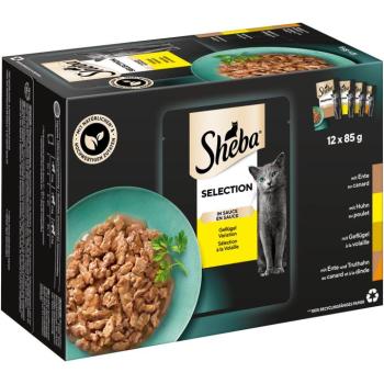 144x85g Sheba Selection szószban szárnyasválogatás nedves macskatáp kép