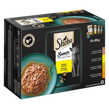 144x85g Sheba szószos szárnyasválogatás nedves macskatáp kép
