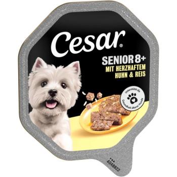 14x150g Cesar Senior 8+ csirke & rizs tálcás nedves kutyatáp kép