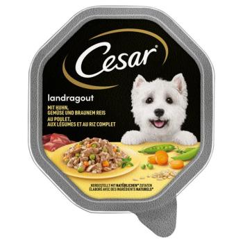 14x150g Cesar Vidéki ragu csike, zöldség & barna rizs nedves kutyatáp kép