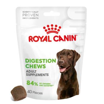 160g Royal Canin Digestion Adult étred-kiegészítő eledel kutyáknak kép