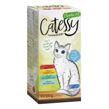 16x100g Catessy falatok szószban tálcás vegyes csomag nedves macskatáp kép