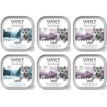 24x150g Wolf of Wilderness Junior Mix (2 fajta) gabonamentes nedves kutyaeledel (2 fajta) kép