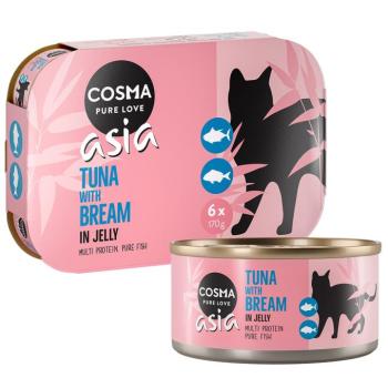 24x170g Cosma Asia aszpikban nedves macskatáp- Tonhal & dévérkeszeg kép