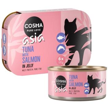 24x170g Cosma Asia aszpikban nedves macskatáp- Tonhal & lazac