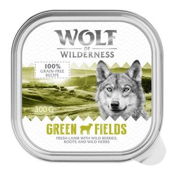 24x300g Wolf of Wilderness Adult nedves kutyatáp-Green Fields - bárány kép