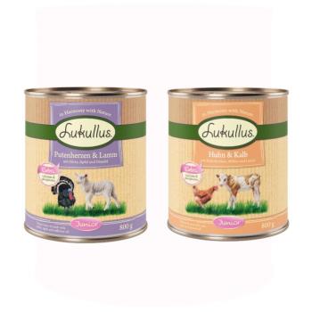 24x800g Lukullus Junior nedves kutyatáp vegyes csomag kép