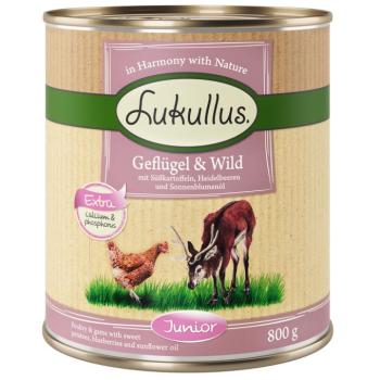 24x800g Lukullus Naturkost Junior szárnyas & vad (gabonamentes) nedves kutyatáp kép